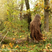 Autumn Mood