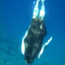 Under water picture